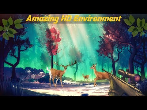 Real Adventure Jungle Hunting Video