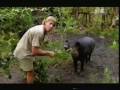 Crocodile Hunter River Of The Dammed Part 1 5