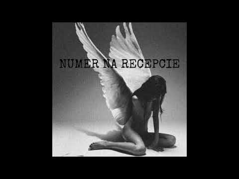 NUMER NA RECEPCIE FT. DOLI (PROD. ZDVCHAM)