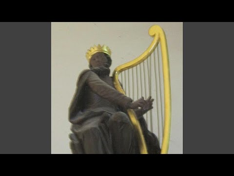 Drapped Up Dripped Out