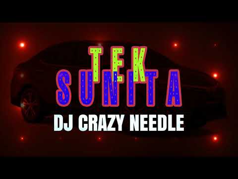 TEK SUNITA | REMIX | PRINCESS ANISA | DJ CRAZY NEEDLE