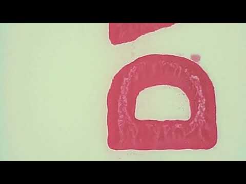 Fremdkunst - A simple clear note Des