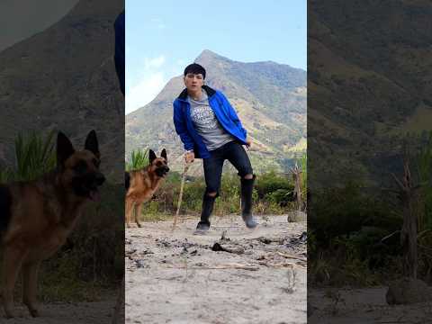 El Bailongo en lo del Rengo 🕺🏻🐶 #baile #dance #viralvideo #sitesabeseltiktokbaila #jeipy