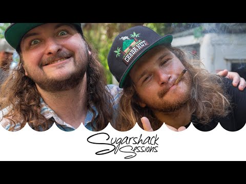 Kash'd Out - Weed Man (Live Music) | Sugarshack Sessions