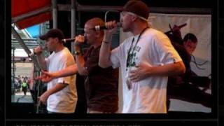 Down For The Cause - Hilltop Hoods