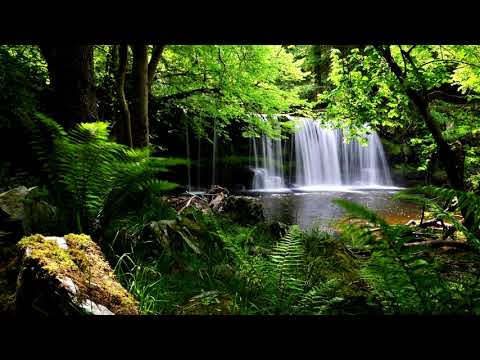 Tape Five - Bad boy Good Man | Electro Swing