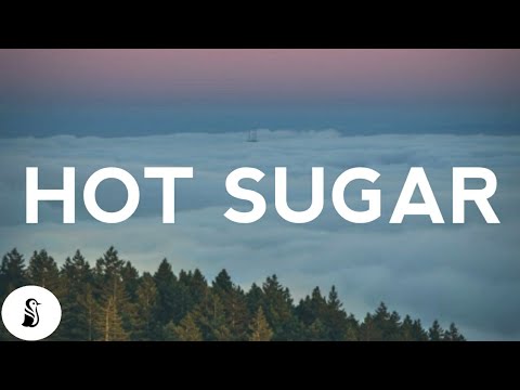Glass Animal - Hot Sugar (Lyrics)