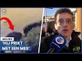 Mysterieuze bandenprikker pas week actief: ‘Honderden banden geprikt’