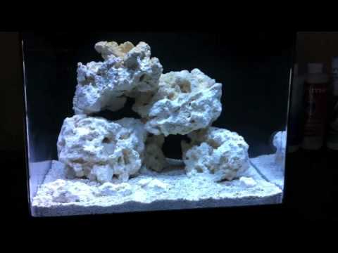 download lagu mp3 mp4 Skkye, download lagu Skkye gratis, unduh video klip Skkye