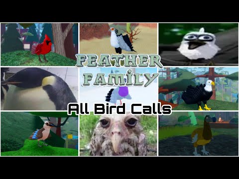 😱🤑🤑 ALL BIRD CALLS IN FEATHER FAMILY AT 3 AM 🥶🥶(NOT CLICKBAIT) (POLICE CAME) 🔥🔥🔥‼️