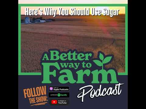 301: Here's Why You Should Use Sugar