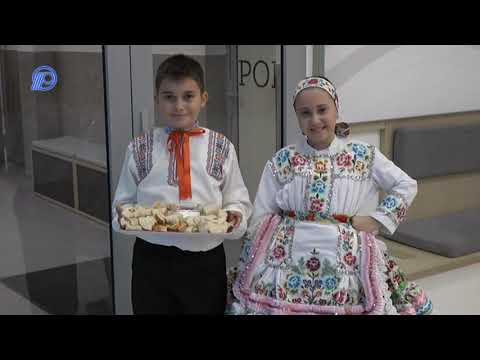 Oslava 105. výročia SKC P. J. Šafárika v N. Sade