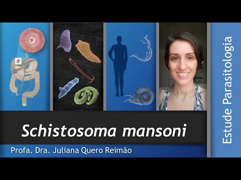 Aula sobre Schistosoma mansoni e  Esquistossomose (Barriga dágua)