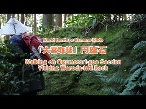 World Heritage Shingu Japan. Walking on Ogumotori-goe Section