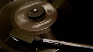 The Chocolate Watchband / Baby Blue