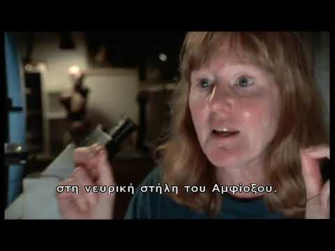 The Shape Of Life: Bones, Brawn and Brains (2001)