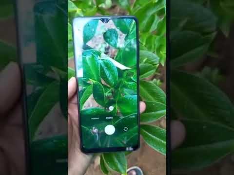 Samsung galaxy a31 || Camera test || #samsung #short #shortvideo