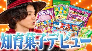 【検証】スタンミってちゃんと知育菓子を作れるの？