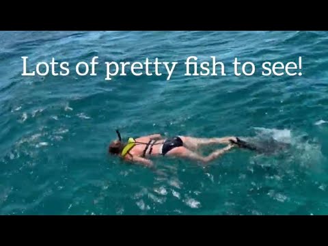 Snorkeling in The Caribbean Sea in Turks & Caicos.  Club Med All-inclusive Resort.   #travel el