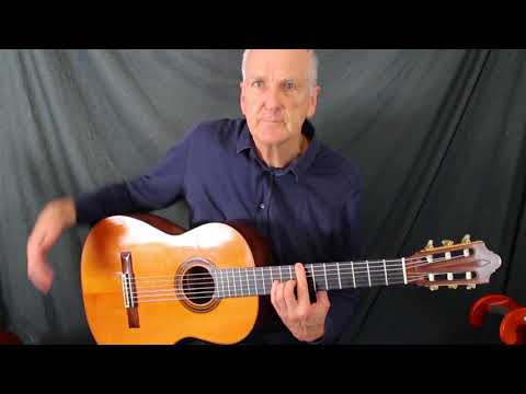 Ignacio Fleta e hijos V Daniel Friederich classical guitaras