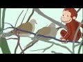 Curious George Curious About Birds