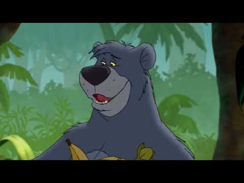 "Jimmy the Magnificent" Sneak Peek 🦇🐻🧙‍♀️🕌