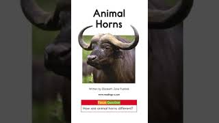 Animal Horns