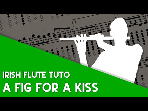 Irish Flute Tuto - A Fig For A Kiss (Slip jig Emin)