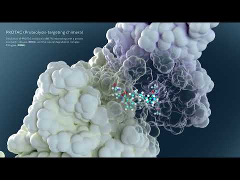 YouTube video about Discover Revolutionary Digital Twins Monitoring Your Health