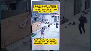 Download lagu Aceh Mengganti Lagu Kebangsaan nya Dengan Azan #terbaru #viral #aceh #azan #kabarterbaru mp3 Download lagu Aceh Mengganti Lagu Kebangsaan nya Dengan Azan #terbaru #viral #aceh #azan #kabarterbaru mp3