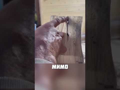РАБОТАЛ ДЯТЕЛ