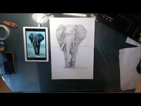 Elephant sketch from scratch