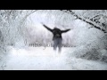 Wintersong - Sarah McLachlan