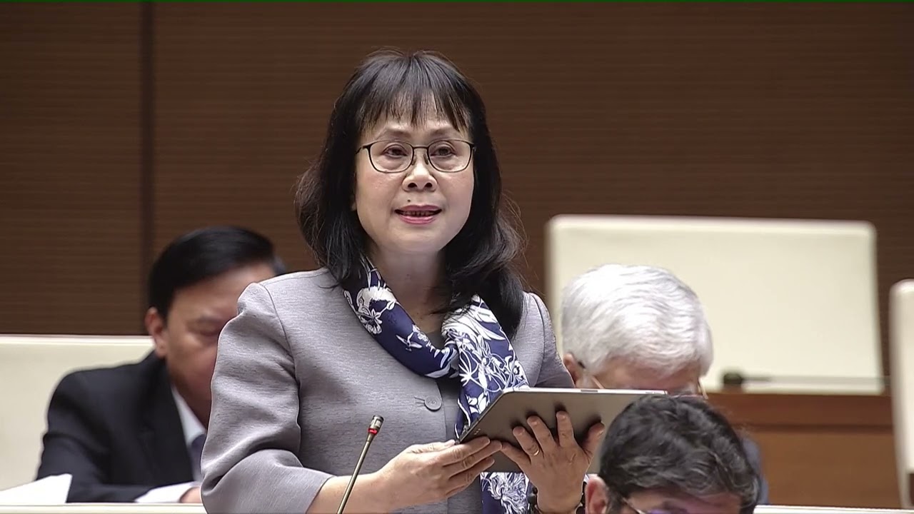 ĐBQH Nguyễn Vân Chi: Luật Thuế giá trị gia tăng cần quy định chi tiết trong luật