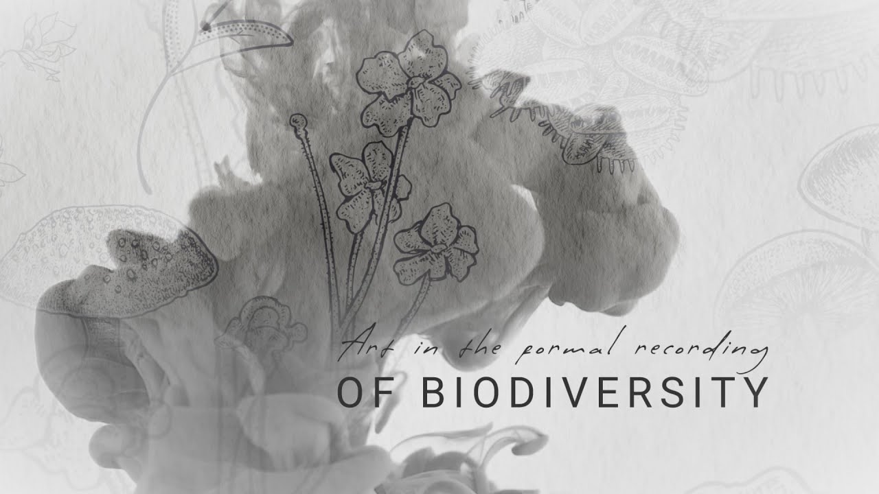 Art In The Formal Recording Of Biodiversity