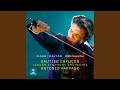 Cello Concerto: II. Allegro appassionato - Gautier Capuçon - Topic Cello Concerto: II. Allegro appassionato