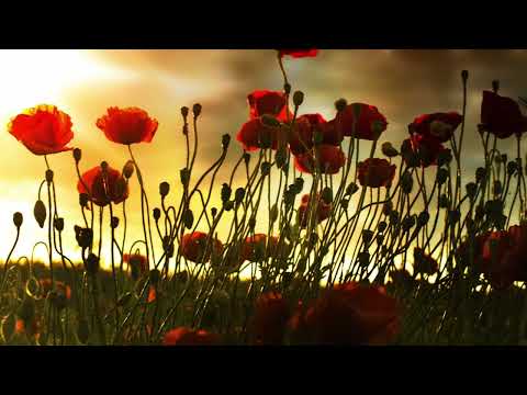 Maki (Ej, dziewczyno, ej, niebogo) - opr. Mariusz Kramarz | Chór Bazyliki Grobu Bożego w Miechowie