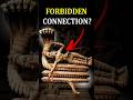 Nagas In Egypt The Secret Underground Connection