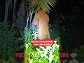 HANTU KEPALA BUNTUNG ILMU RAWA RONTEK THE SECRET