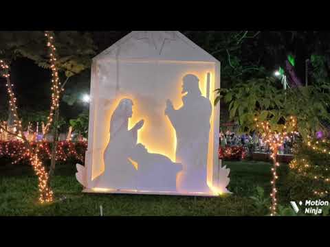 Navidad Dorada 2025 . Puerto Cortes 🌴 