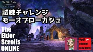 【ESO】今回は真夏の試練チャレンジ①「モー・オブ・ローカジュ」（ノーマル難易度）【ムーさんとコラボ配信】