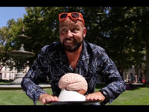 Iz muškog kuta - Ribafish