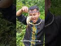 Enjoy Cooking Food With Natural Life Muster Chef Cooking China