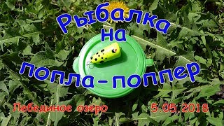 Рыбалка на озере лебединое приморский край