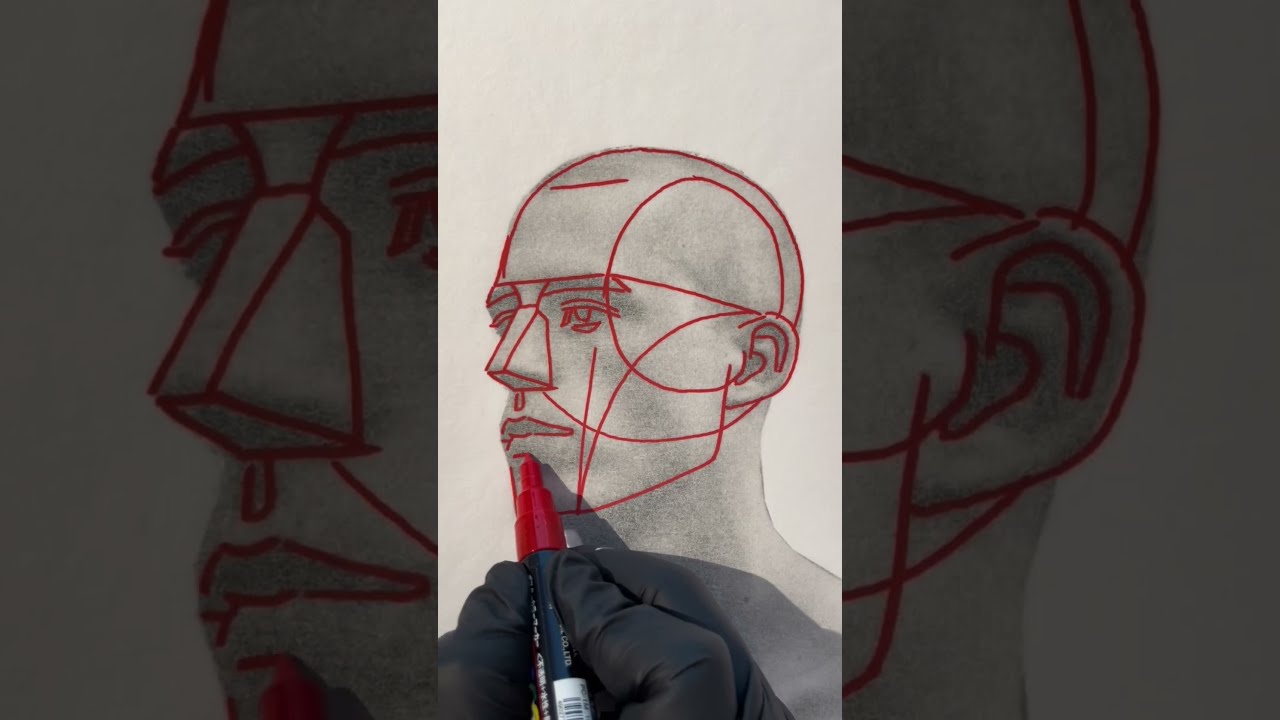Draw the Head: Loomis Method