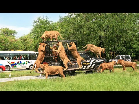 10 Most Dangerous Tourist Destinations In The World