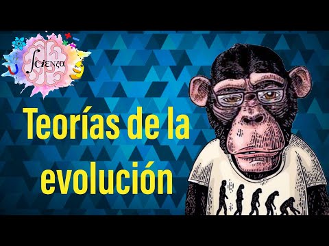 Theories of evolution | Fixism, Lamarck, Darwin-Wallace, Neo-Darwinism (synthetic theory)