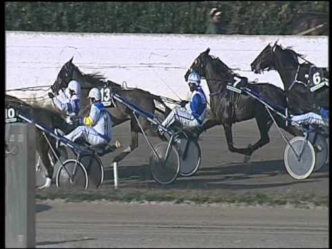 Trotto 24/12/2015 - 1° corsa