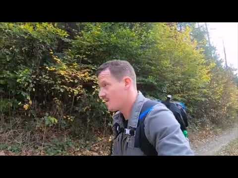 Der Rheinsteig die 7 Etappe 🍁😃🚶