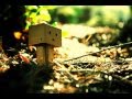 New Prince (Crown On the Ground) - Childish ...
